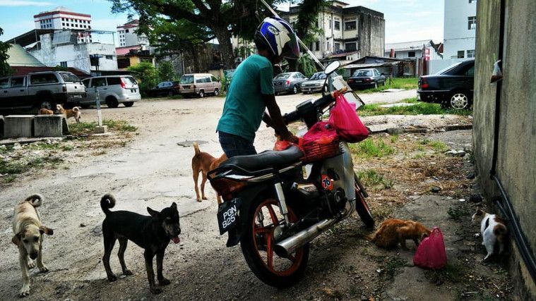 Tukang parkir baik hati