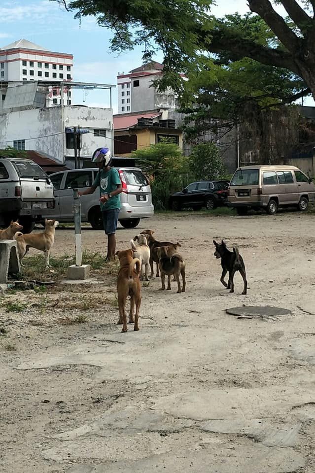 Tukang parkir baik hati