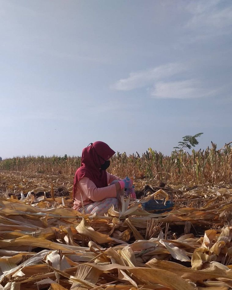 Tempat Wisata di Demak yang Indahnya Damaikan Hati