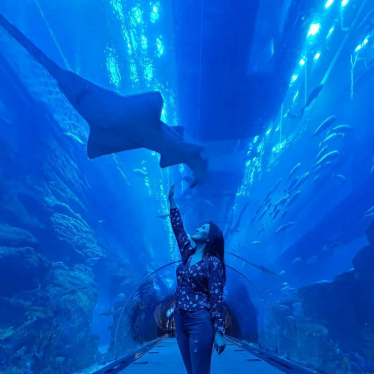 wisata aquarium terbaik