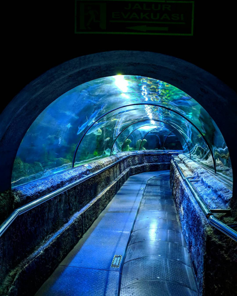 wisata aquarium terbaik