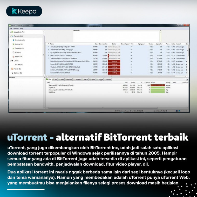 torrent downloader online website free