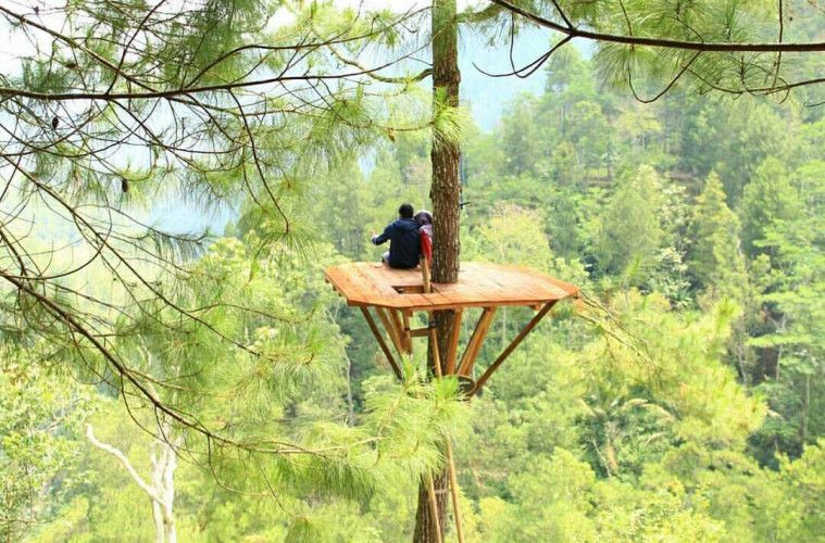 wisata pacitan