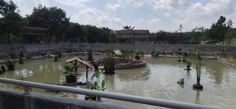 kepala dinas