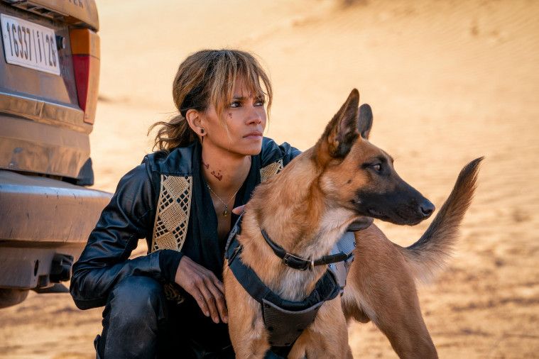 Pembunuh Bayaran di John Wick