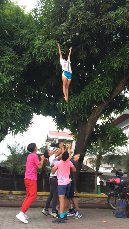 Cheerleaders ngambil mangga