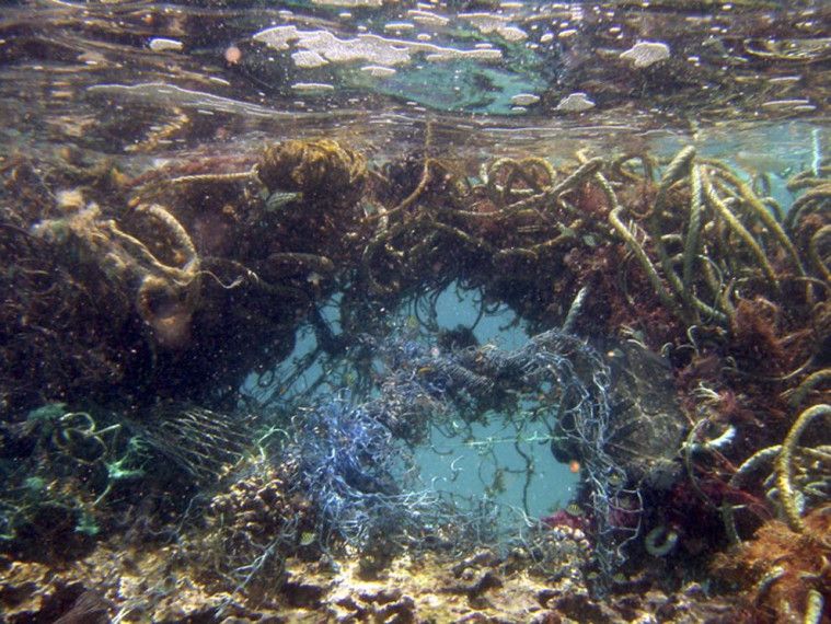 Great Pacific Garbage Patch