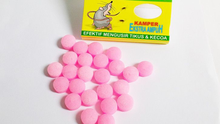 Cara Mengusir Tikus