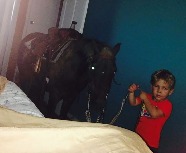 Привел коня домой. Мужчина привел лошадь в квартиру. Мужик привел коня домой. Серега привел лошадь домой извиняться.