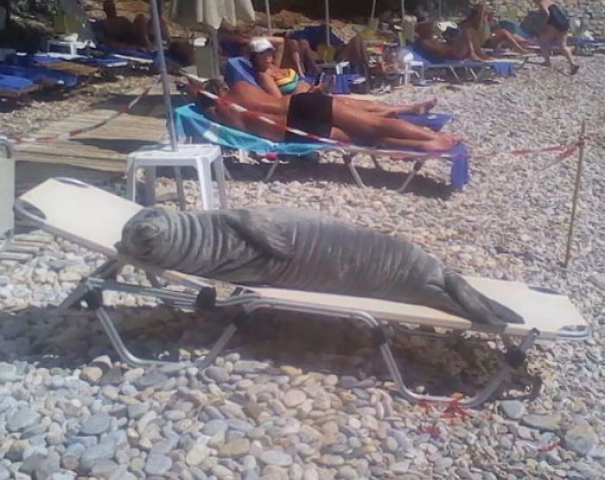 hal absurd di pantai