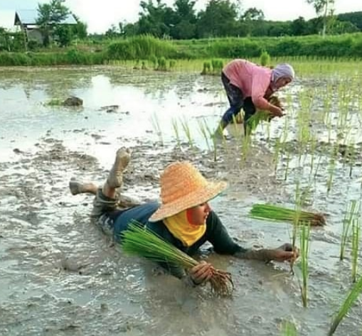negara paling santai