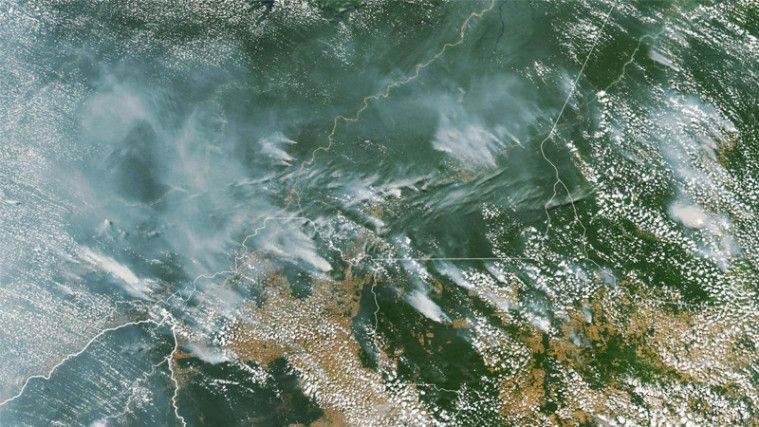 Hutan Amazon Kebakaran Hebat, Terburuk Sepanjang Sejarah Brasil!