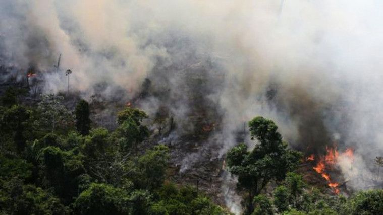 Hutan Amazon Kebakaran Hebat, Terburuk Sepanjang Sejarah Brasil!