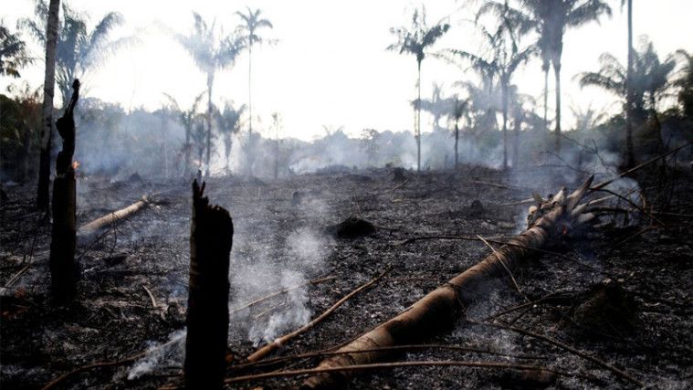 Hutan Amazon Alami Kebakaran Terburuk Sepanjang Sejarah