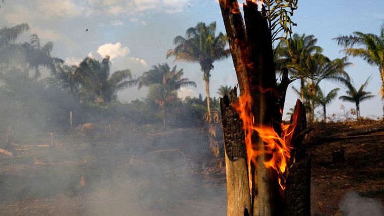 Hutan Amazon Kebakaran Hebat, Terburuk Sepanjang Sejarah Brasil!