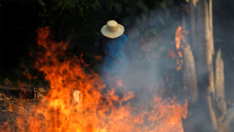 Hutan Amazon Kebakaran Hebat, Terburuk Sepanjang Sejarah Brasil!