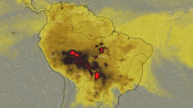 Hutan Amazon Kebakaran Hebat, Terburuk Sepanjang Sejarah Brasil!