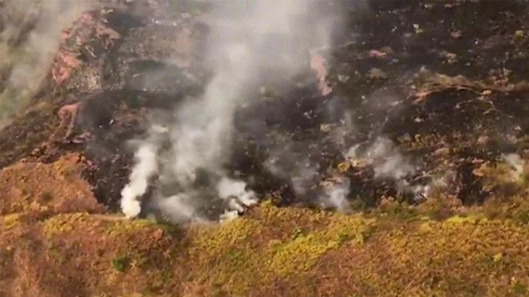 Hutan Amazon Kebakaran Hebat, Terburuk Sepanjang Sejarah Brasil!