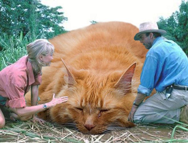 Jurassic Park
