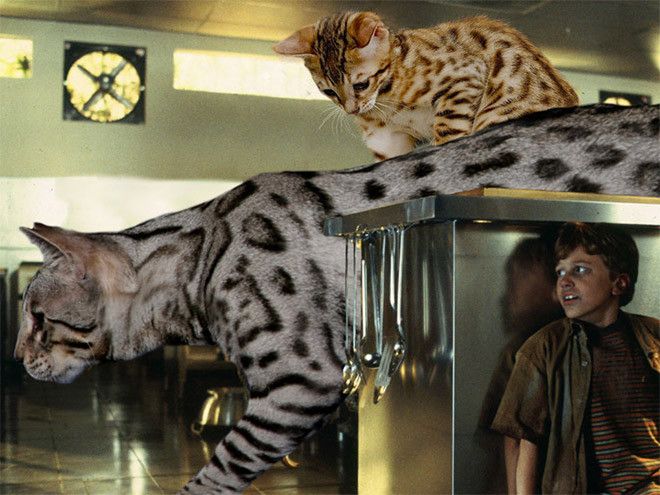 Jurassic Park