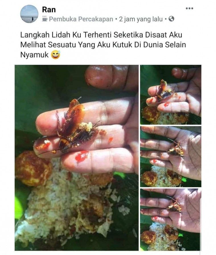 postingan di salah satu grup facebook