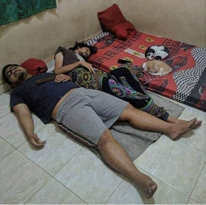 mengalah demi kucing kesayangan