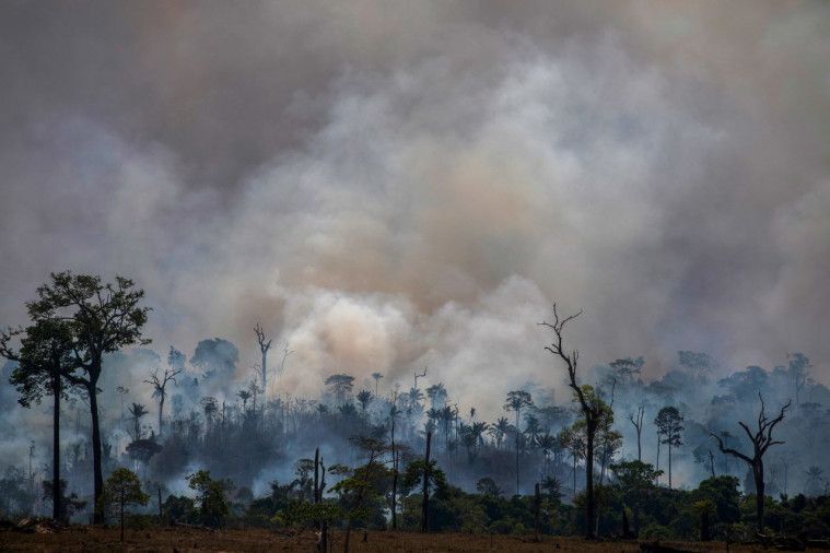 Kebakaran di hutan Amazon