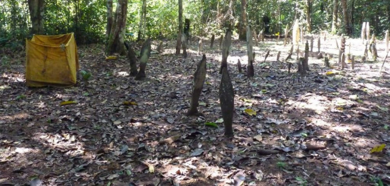 Hantu Lastri