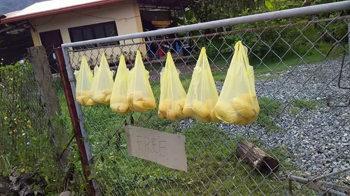 Warga Filipina bagi-bagi mangga