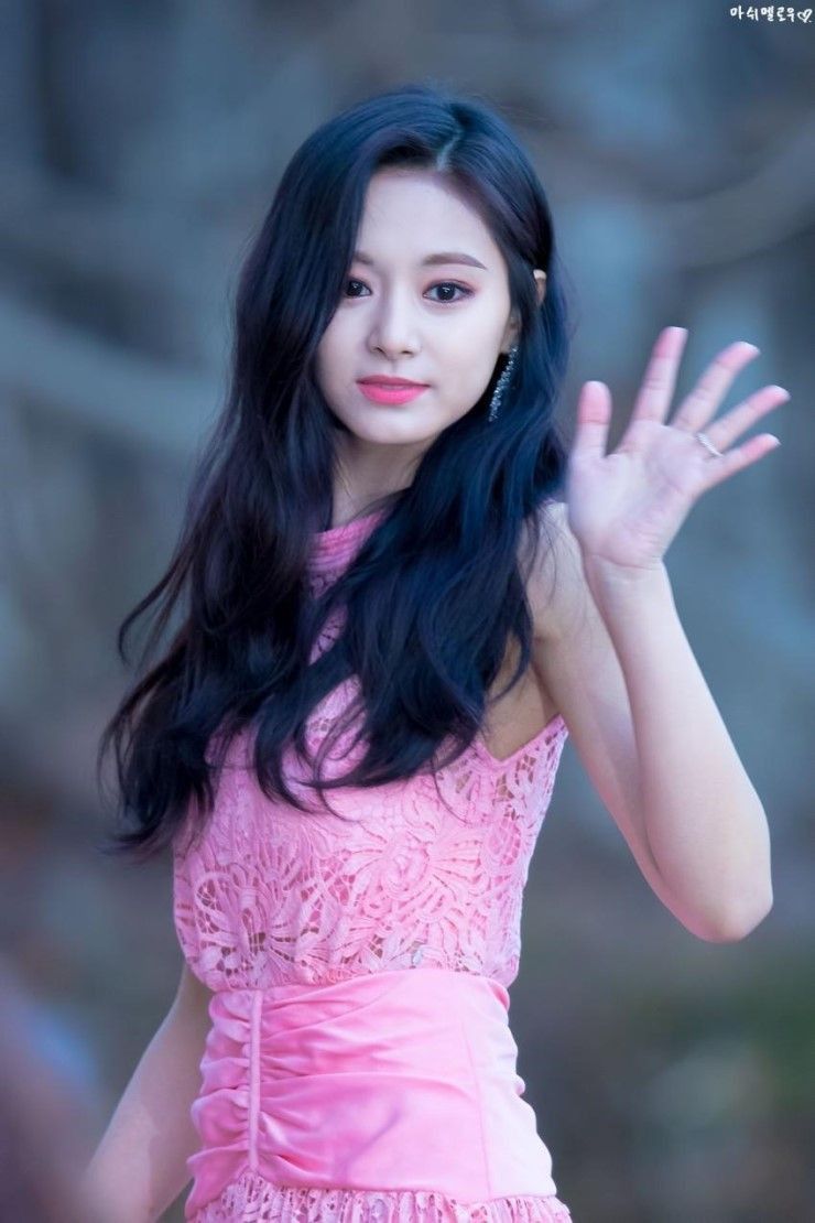 Fakta Twice Tzuyu 2019