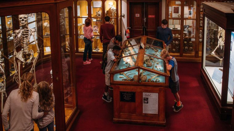 museum mengerikan