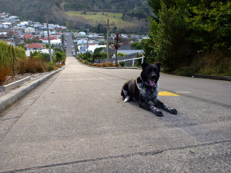 Jalan Paling Miring dan Curam di Dunia