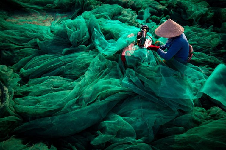 lomba foto lingkungan, mongabay