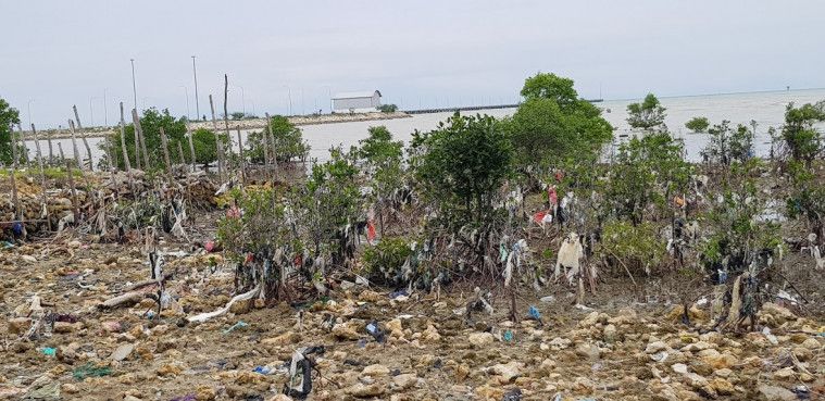 Sampah plastik