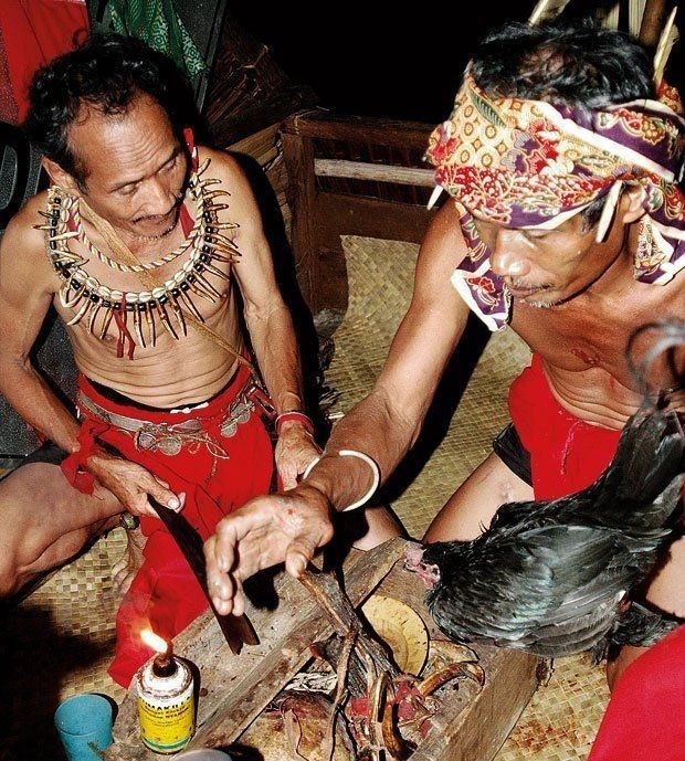 Sesembahan Suku  Dayak  Bidayuh di Ritual Pencucian Tengkorak 