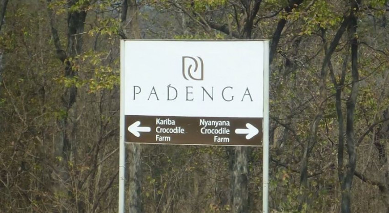 fakta kejam tas hermes