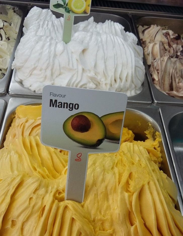 foto kocak
