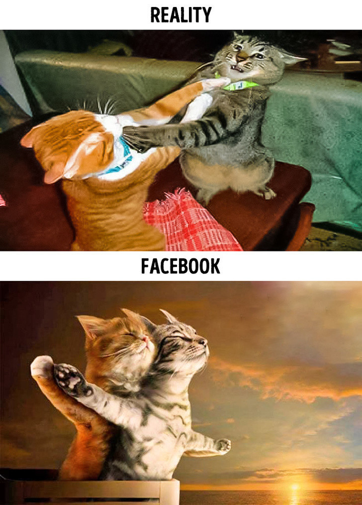instagram vs realita