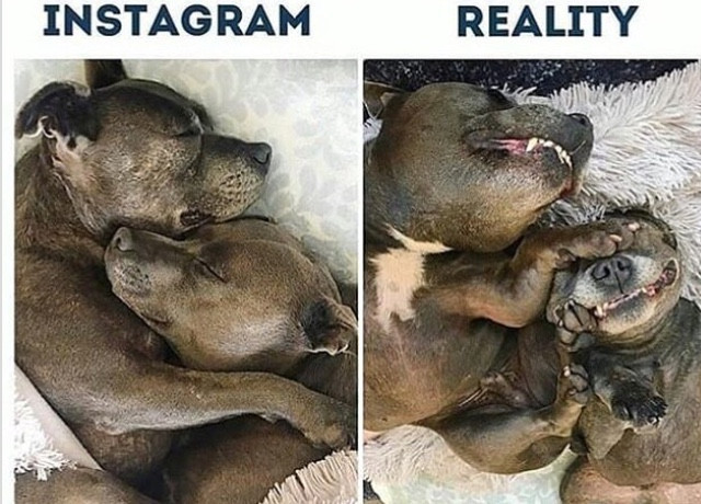 instagram vs realita