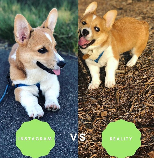 instagram vs realita