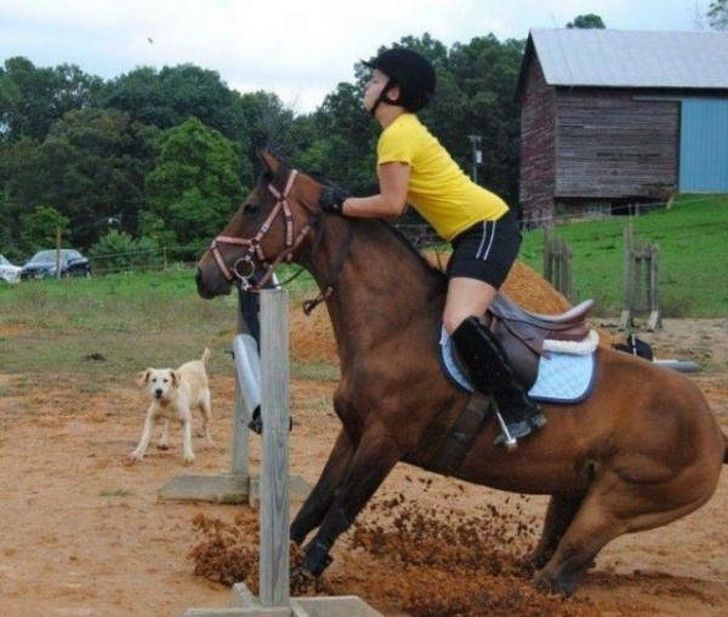 foto kocak sebelum malapetaka