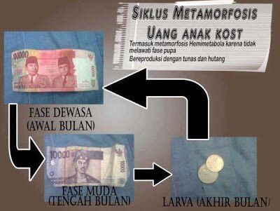Lika-liku anak kos