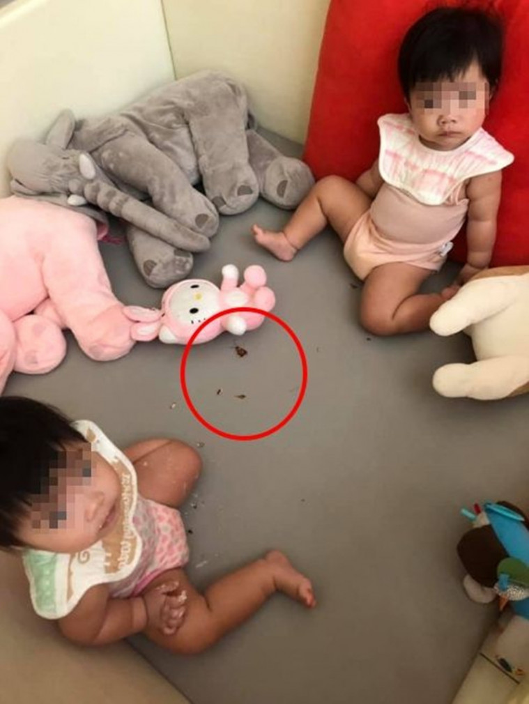 Bocah makan kecoa