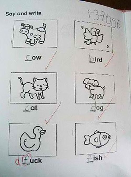 Ngakak! 10 Jawaban Kreatip dari Siswa Sekolah Ini Kocak Banget!