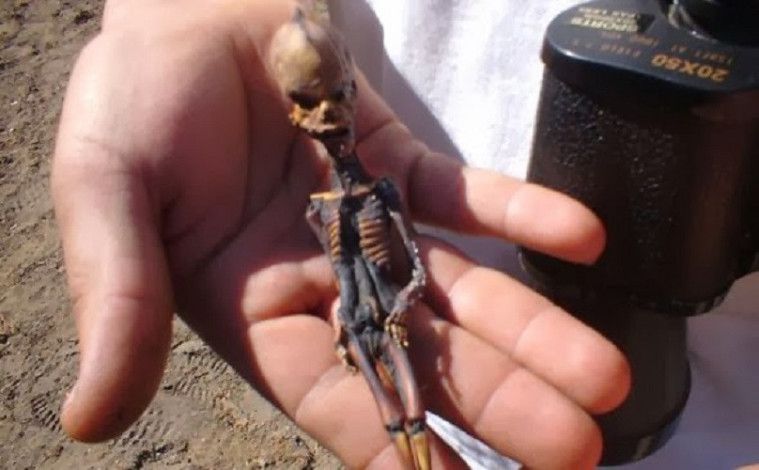 Kerangka bayi alien
