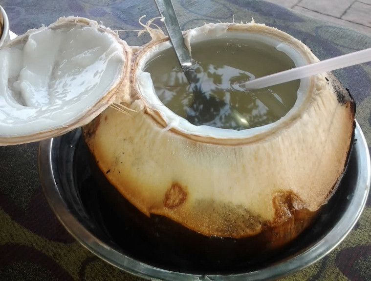 Manfaat Kelapa Bakar