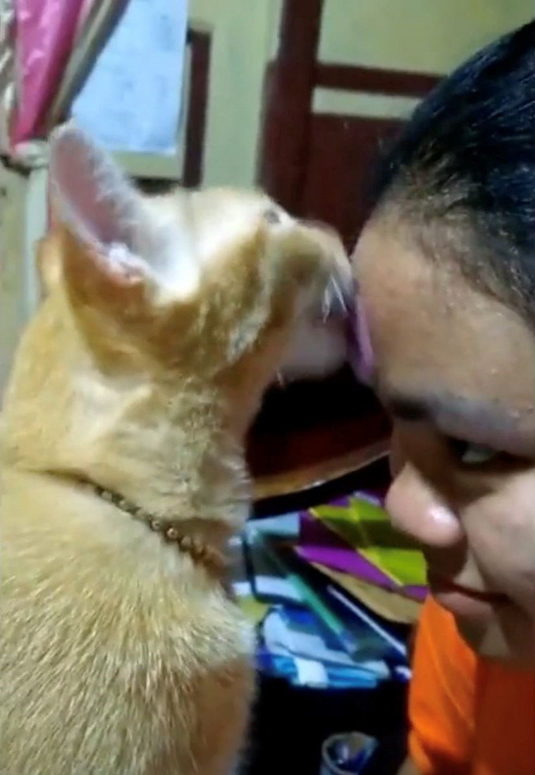 Wajah dijilat kucing