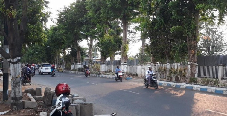 teror alat kelamin
