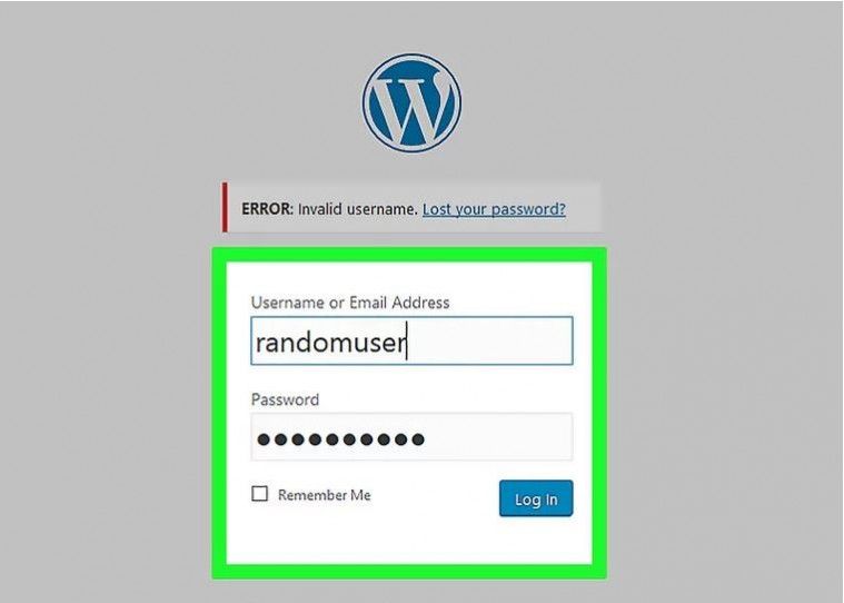cara meretas website