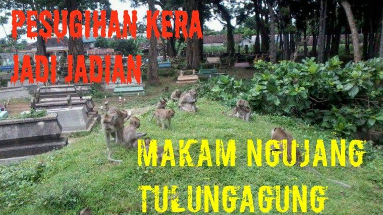 Inilah 4 Jenis Pesugihan bagi Mereka yang Kepengen Cepet Kaya!
